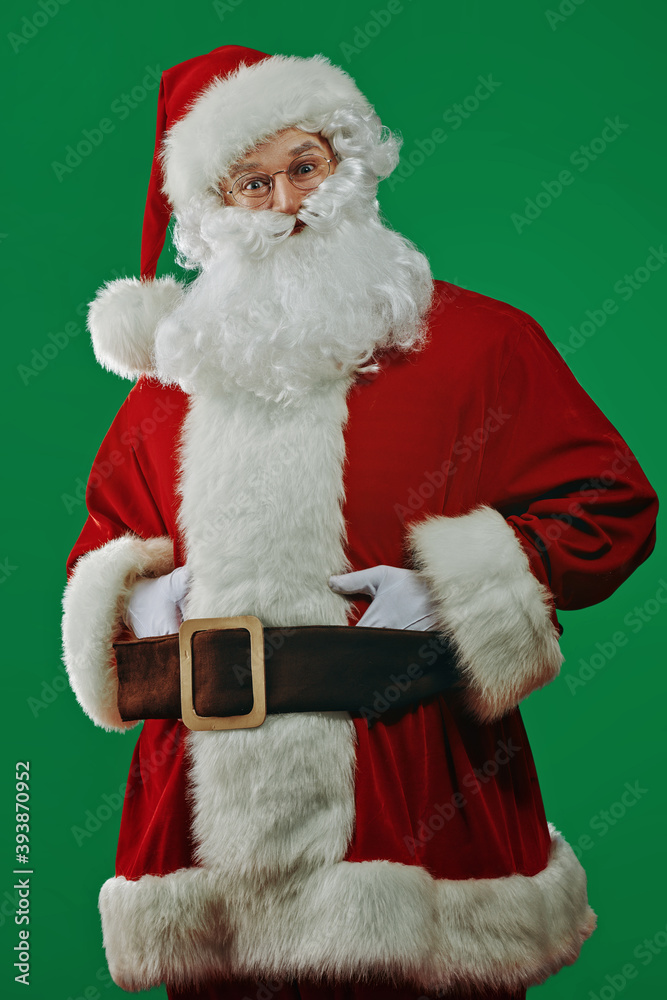 portrait of happy Santa portrait of happy Santa