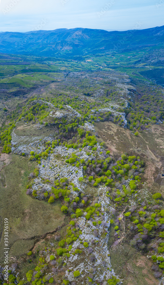 Beech forest in springtime, Astrana, Alto Ason, Soba Valley, Cantabria, Spain, Europe Beech forest in springtime, Astrana, Alto Ason, Soba Valley, Cantabria, Spain, Europe