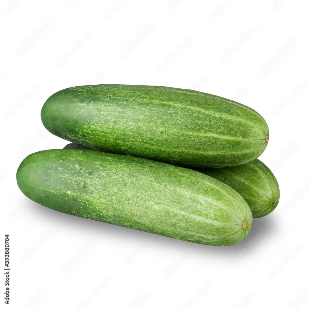 Green Cucumber Vegetable isolated on white background. Green Cucumber Vegetable isolated on white background.