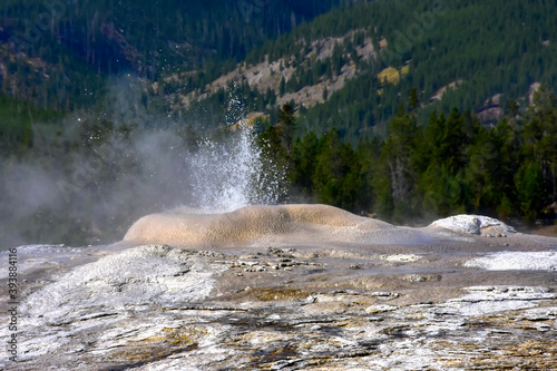 Lion Geyser at Yellowstone National Park