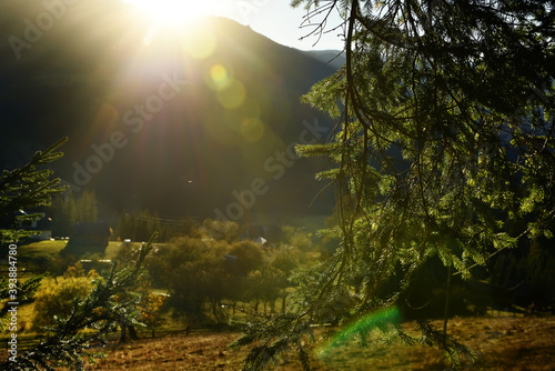 beautiful autumn mountain landscape of early morning. View through the fir branches on a beautiful morning in the mountains.