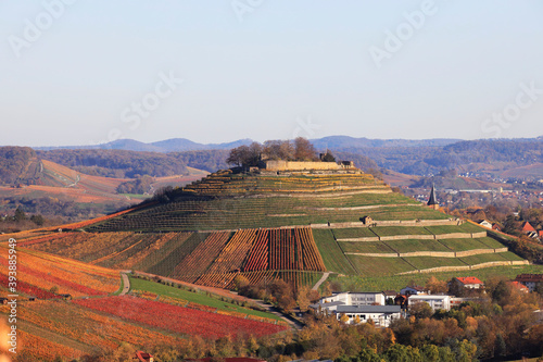 Vineyards in Autumn, View from the Wartberg, Heilbronn, Baden-Württemberg, Germany, Europe