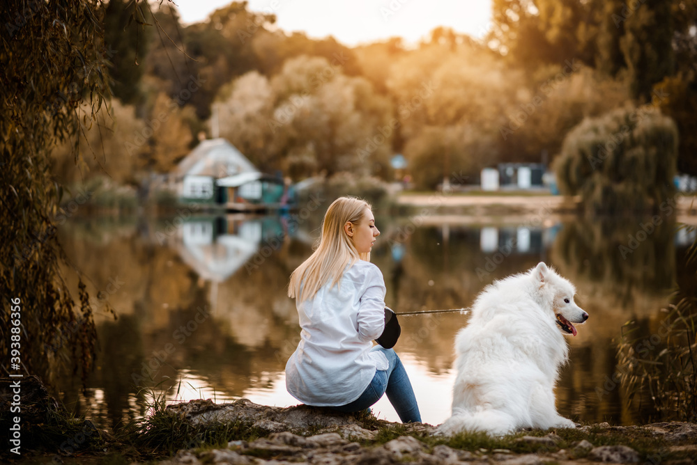 beautiful woman in white shirt is sitting on the shore of the lake with her white dog samoyed on sunset in a autumn day. beautiful woman in white shirt is sitting on the shore of the lake with her white dog samoyed on sunset in a autumn day.