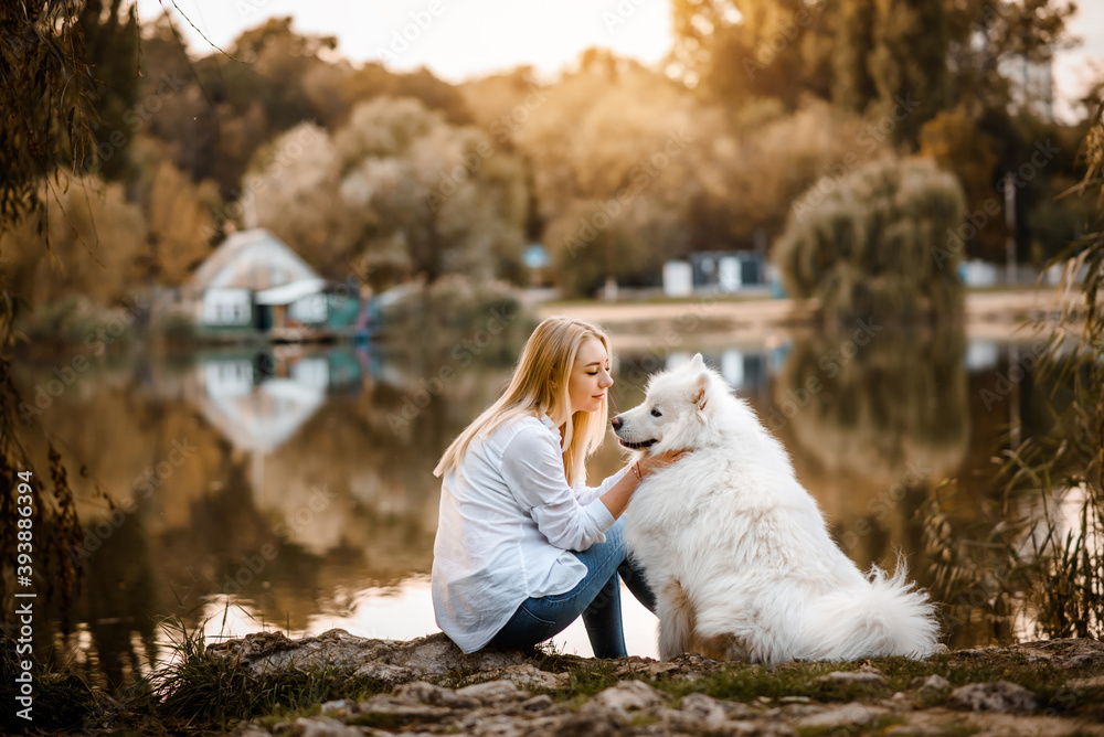 beautiful woman in white shirt is sitting on the shore of the lake with her white dog samoyed on sunset in a autumn day. beautiful woman in white shirt is sitting on the shore of the lake with her white dog samoyed on sunset in a autumn day.