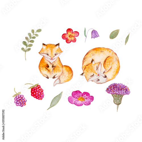 Red-haired little fox with flowers. Watercolor childrens illustration.