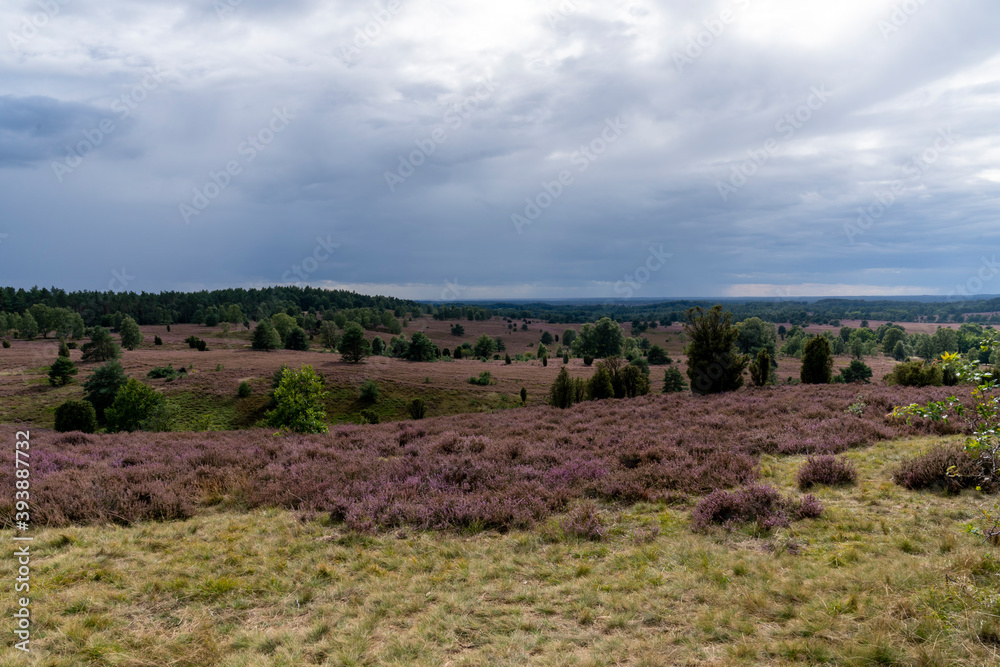 Urlaub in der Lüneburger Heide