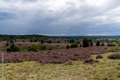 Urlaub in der L  neburger Heide