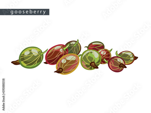 sketch_gooseberry_nine_berries