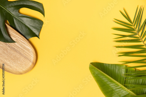 Tropical background with palm monstera leaves on yellow.