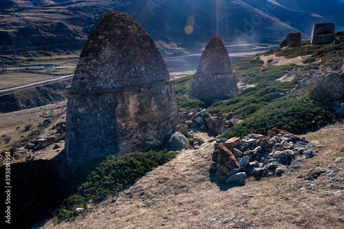 Tree and medieval tombs in City of Dead near Eltyulbyu, Russia photo