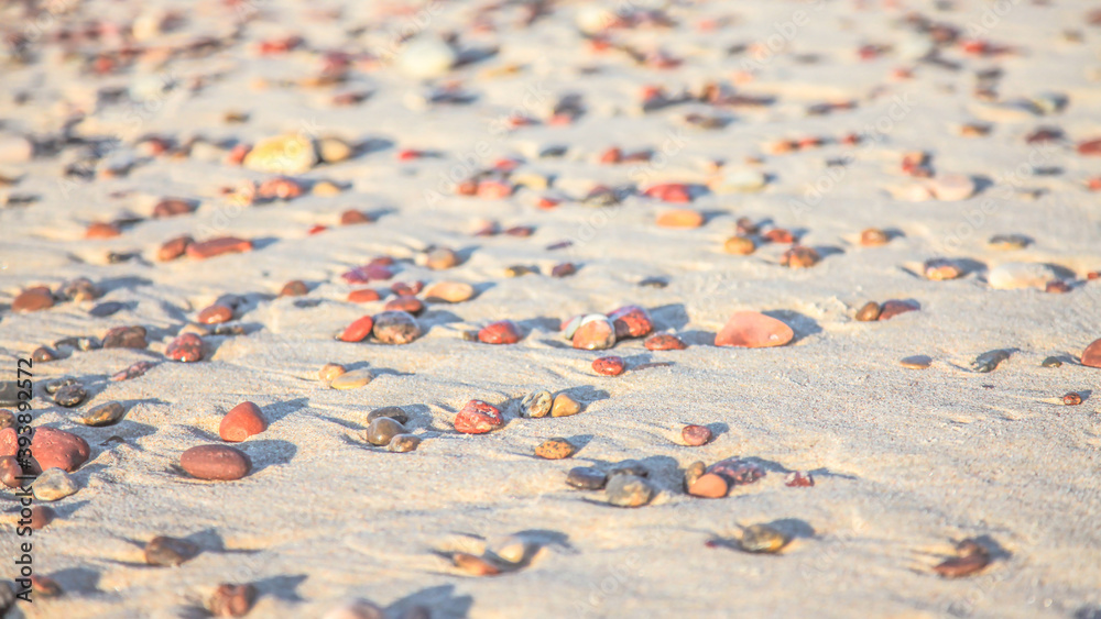 small pebbles on the golden sand of the beach under the sun