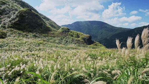 Oct 31, 2020. Shoot at Xiaoyoukeng trail in Yangmingshan National Park in Taiwan. Xiaoyoukeng is known for fumaroles, hot springs, sulphur crystals. In autumn, Yangmingshan is covered with miscanthus. photo