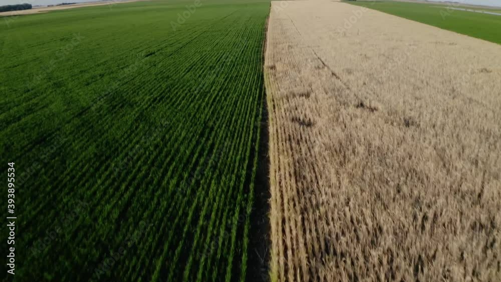 Campo - La Pampa - Argentina 
