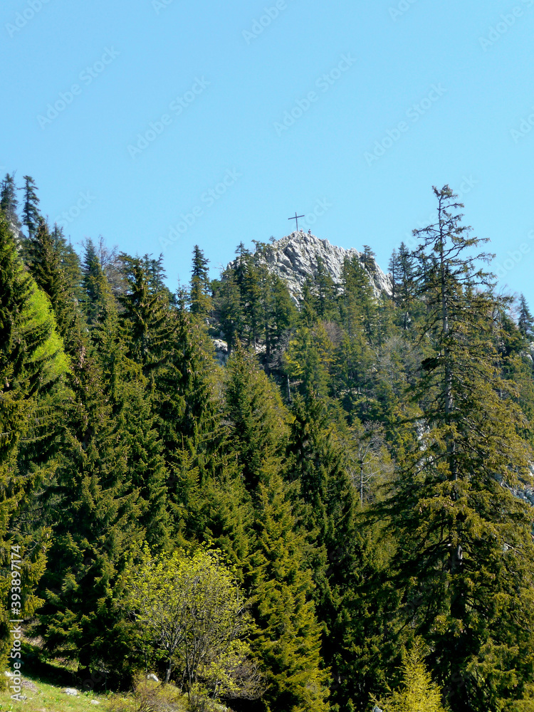 Summit cross Brauneck mountain, Bavaria, Germany