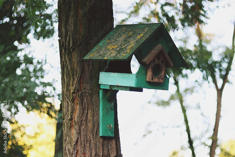 Birdhouse on a tree in forest