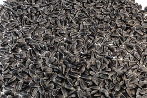 Obraz na plátně Sunflower seeds on white background