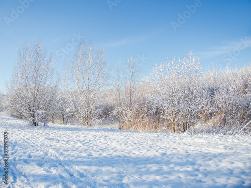 Winter in Hannover Bemerode