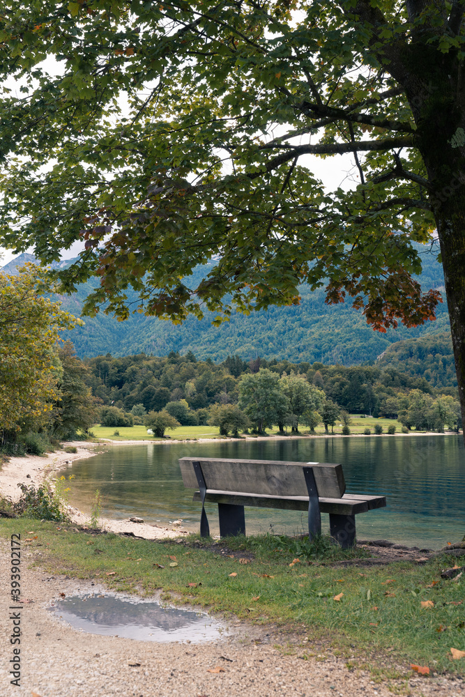 Bench in front of lake Bohinj in summer
