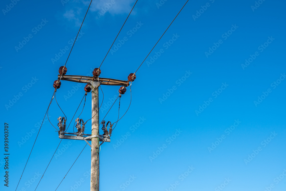 Telegraph pole with insulators and jumper cables