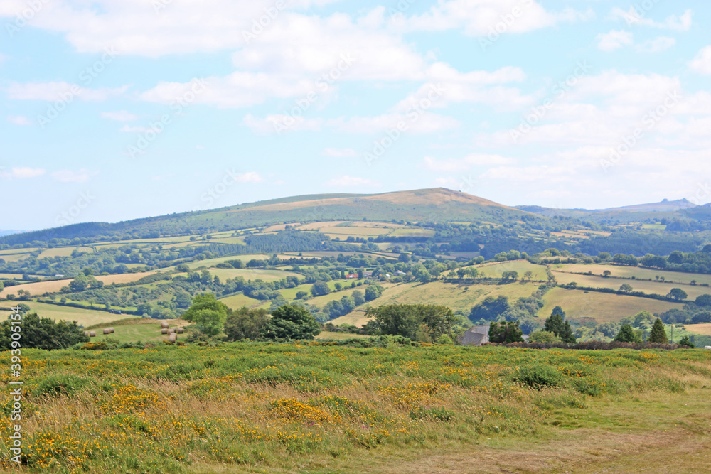 Meldon Hill on Dartmoor, Devon Meldon Hill on Dartmoor, Devon