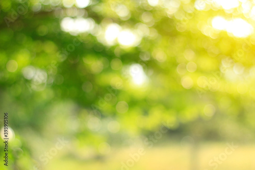 green bokeh background