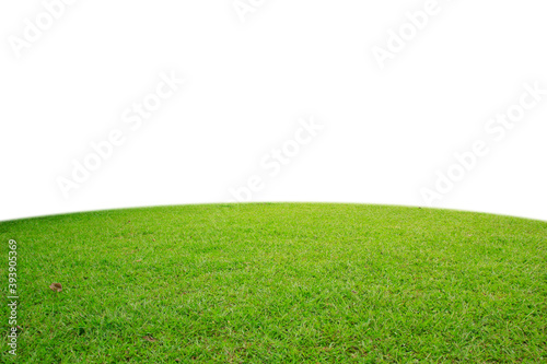 Fototapeta Naklejka Na Ścianę i Meble -  green grass on a white background