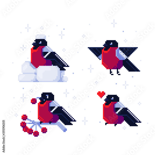 Cute pixel bullfinches. Set of vector cartoon images. Pixel art style