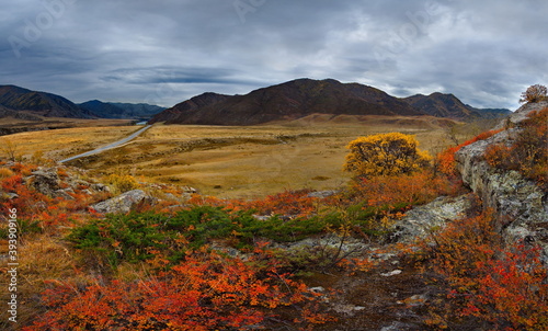 Russia. South Of Western Siberia. mountain Altai. Autumn colors of mountain valleys along the Chui tract.