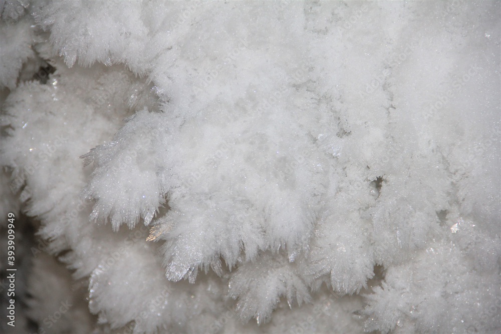 the texture of the snow
the texture of the snow