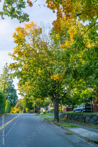 Burien Street In Fall 2 © George Cole