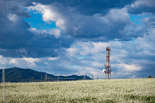 Telecom anntena tower in a meadow against a blue sky. Mobile broadcast concept and empty copy space. photo