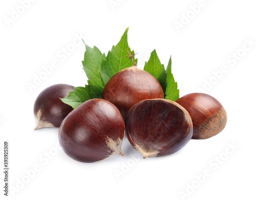 Horse chestnuts with leaves isolated on white backgrounds.