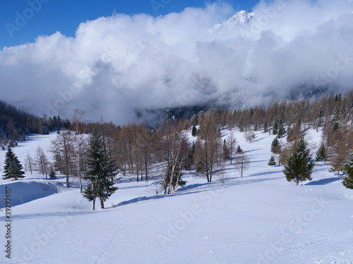 Some trees in the french alps at Grands Montets. (near Chamonix, february 2020) © Yann Vernerie