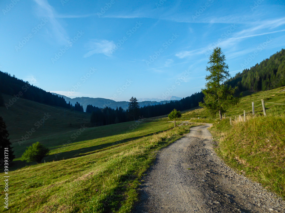 A gravelled road going towards high Alpine peaks in Austria. The sides of the road are overgrown with lush green grass. Dense forest on the slopes. Exploration and discovery. Beauty of the nature