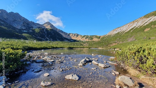 mountain river in the mountains