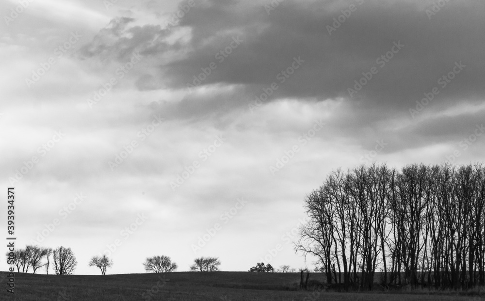 Black and white landscape of a hay field, a line of trees, a grove of trees and stormy clouds.