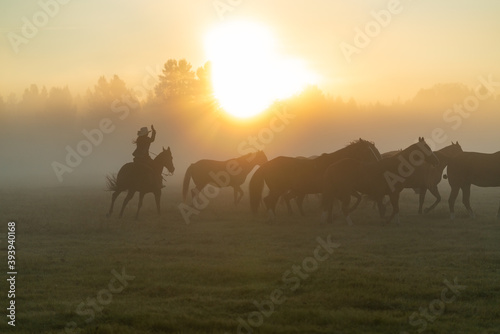 Silhouette of cowgirl on horse in morning