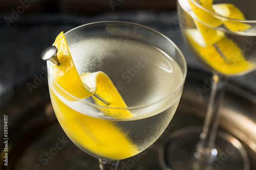 Boozy Lemon Dry Gin Martini photo