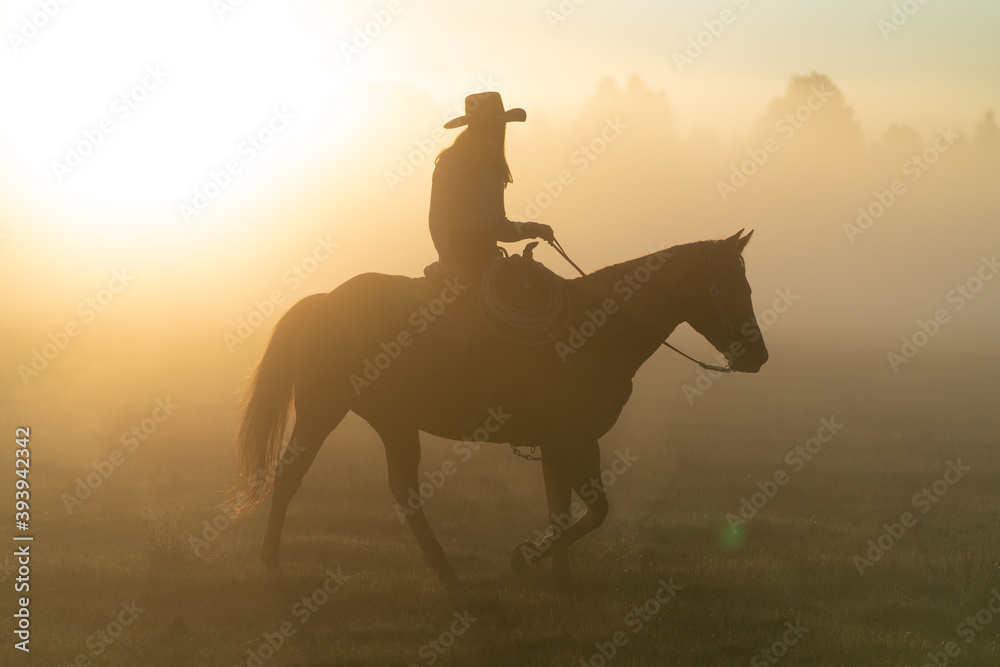 silhouette of cowgirl with lasso on horse at sunrise silhouette of cowgirl with lasso on horse at sunrise
