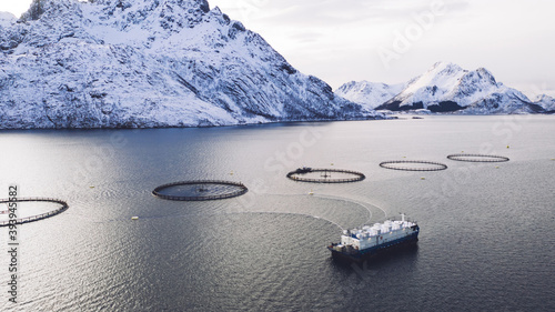 Salmon fish farming in Norway sea. Food industry, traditional craft production, environmental conservation. Aerial view of round mesh for growing and catching fish in arctic water surrounded by fjords photo