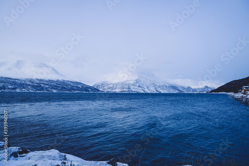 Scenery of cold blue ice on norwegian fjords and sea water on natural destination landmark, beautiful landscape environment on rocks covered with ice and fog on northern destination