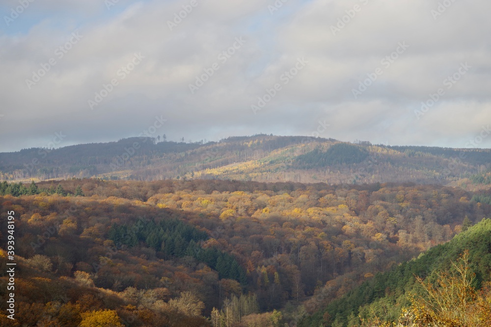 Naklejka premium Herbstlandschaft