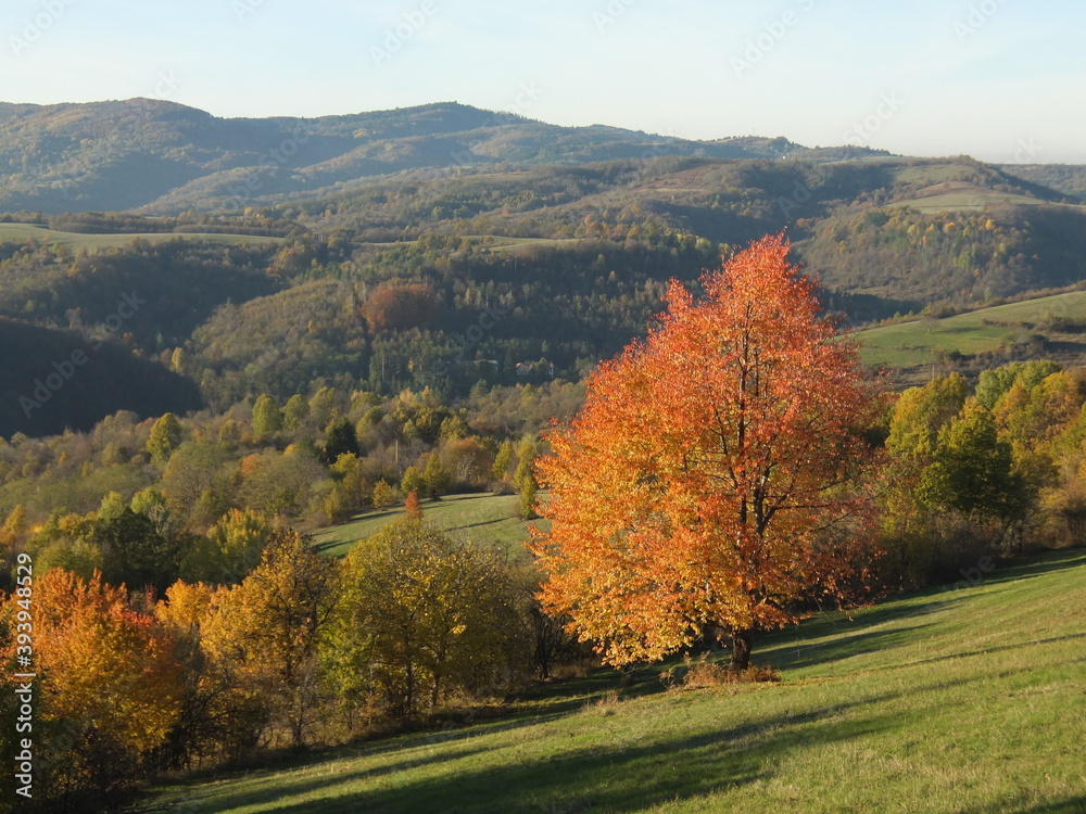 Naklejka premium Lanscape Expression 7