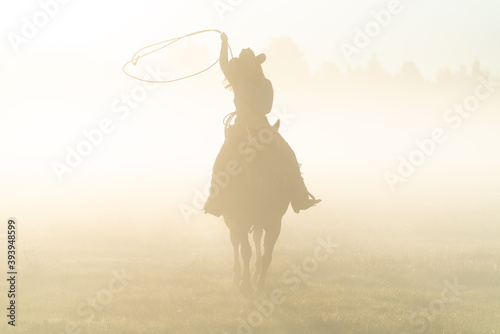 silhouette of a lasso horse in the sunset