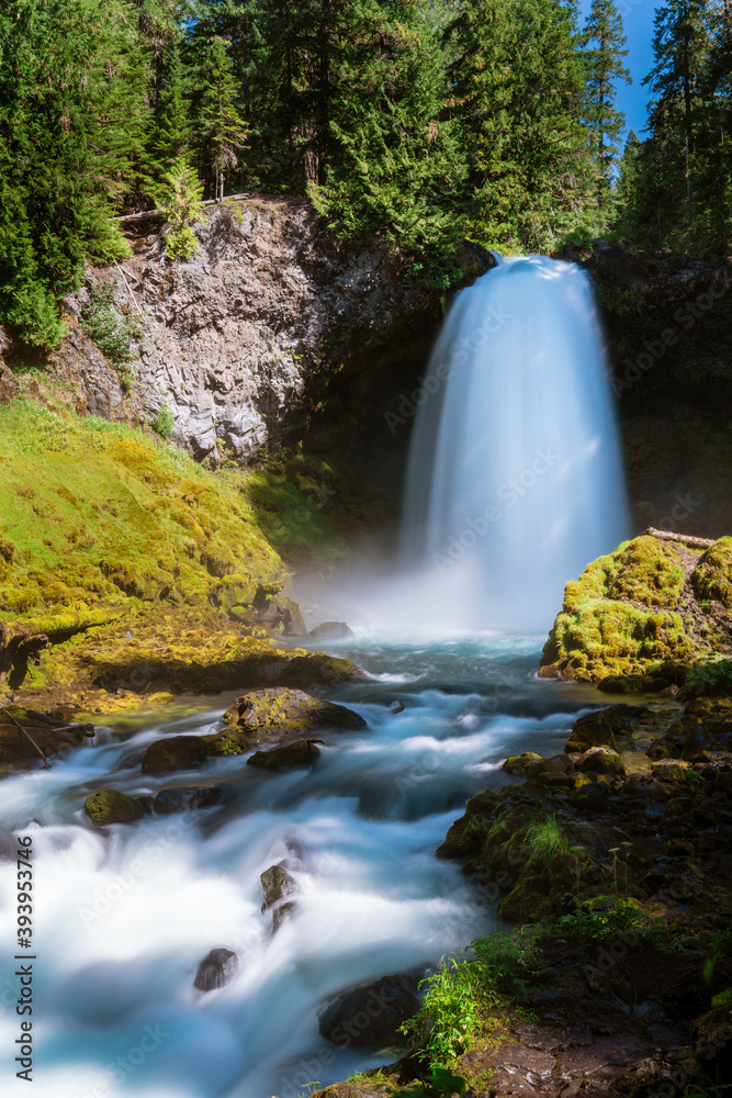 Fototapeta premium waterfall in the forest