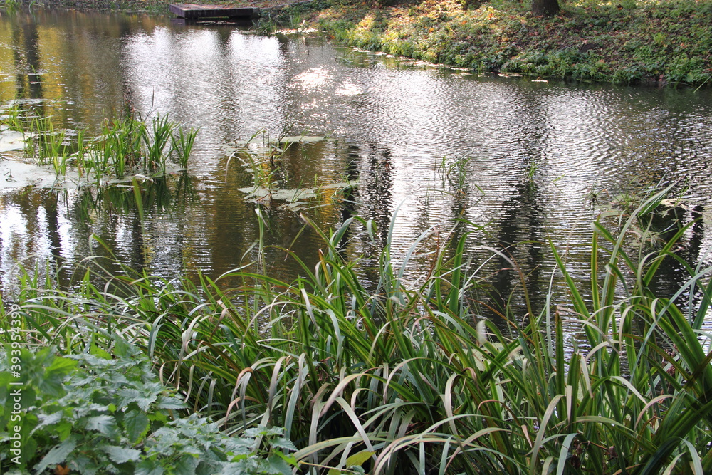 Obraz premium Zarzecze park