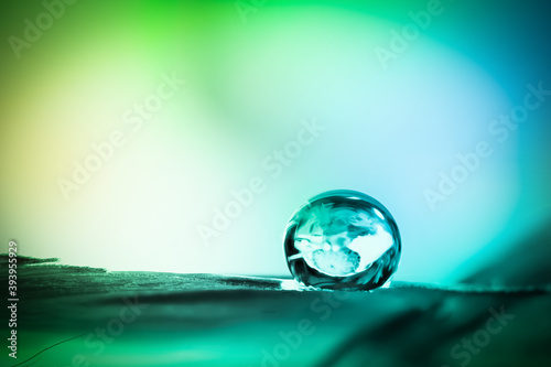 Close up shot of water droplet on a leaf 