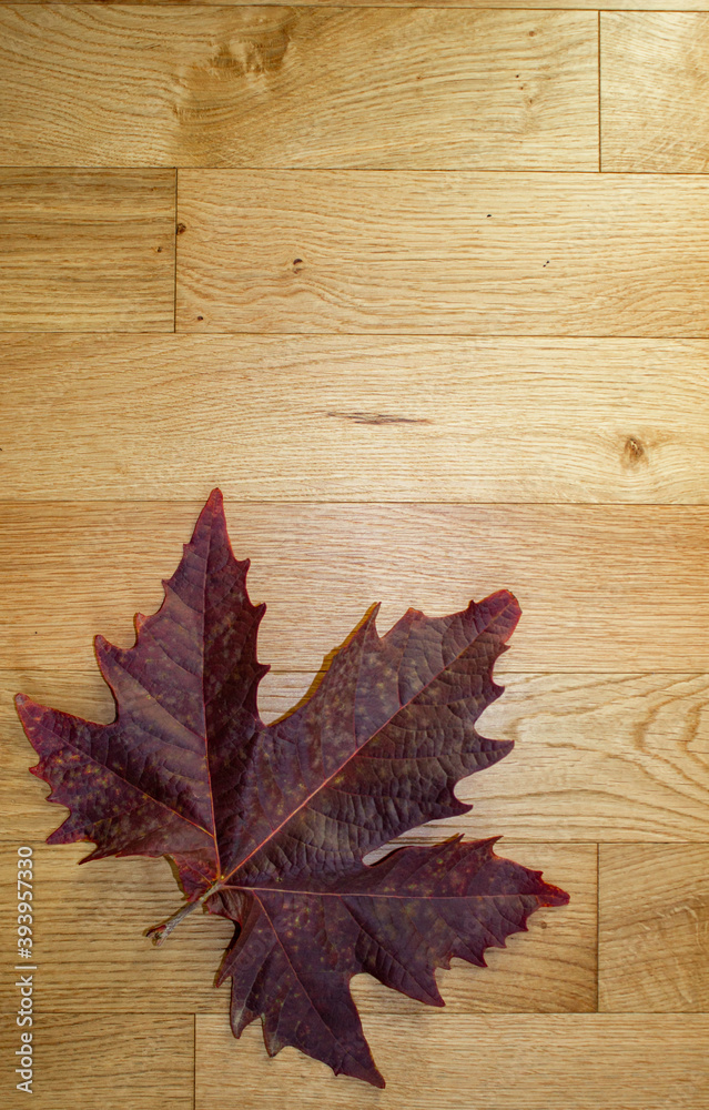 Dark red leaf on the light wood background. Autumn natural background. Vertical image.