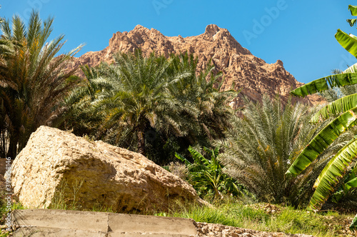 Landscape of Wadi Tiwi oasis with mountains and palm trees in Sultanate of Oman.