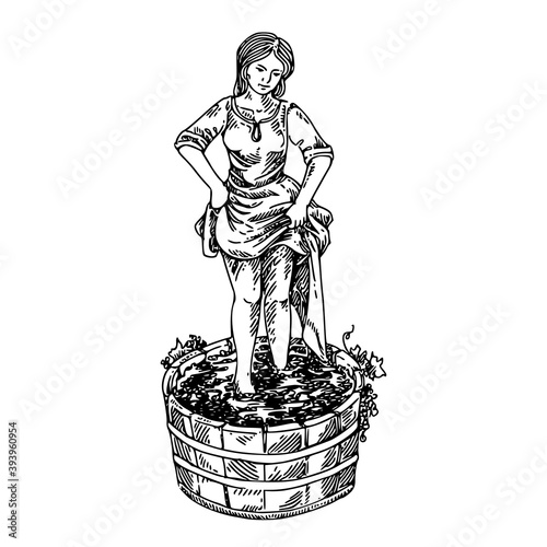 Young girl crushes grapes in wooden barrel. Sketch. Engraving style. Vector illustration.